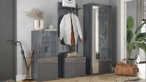 Шкаф платяной Норден в Нытве - nytva.mebel24.online | фото 3