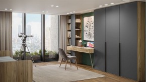 Шкаф платяной Порто СМ-393.07.223 в Нытве - nytva.mebel24.online | фото 5