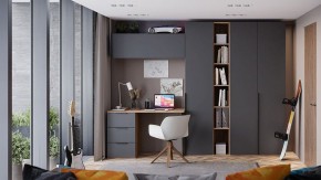 Шкаф платяной Порто СМ-393.07.223 в Нытве - nytva.mebel24.online | фото 7