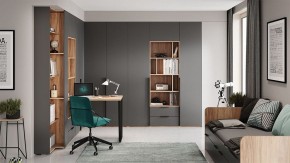 Шкаф платяной Порто СМ-393.07.223 в Нытве - nytva.mebel24.online | фото 9
