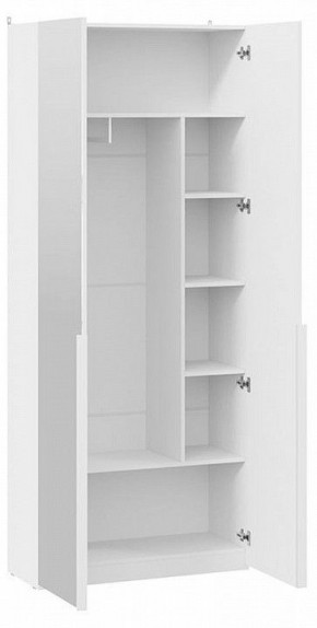 Шкаф платяной Порто СМ-393.07.225 в Нытве - nytva.mebel24.online | фото 2