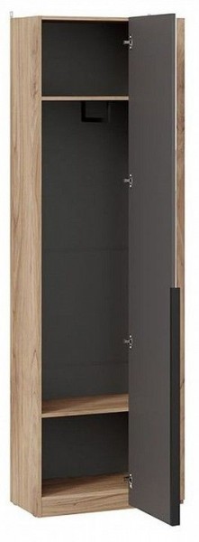 Шкаф платяной Порто СМ-393.07.232 в Нытве - nytva.mebel24.online | фото 2