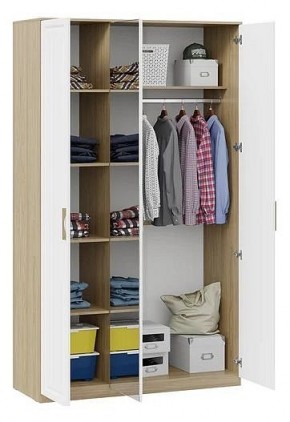 Шкаф платяной Сэнди в Нытве - nytva.mebel24.online | фото 3