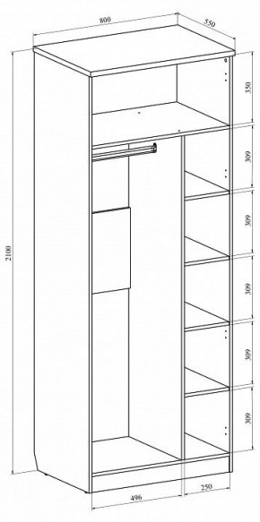 Шкаф платяной Виктория ВИ-11 в Нытве - nytva.mebel24.online | фото 5