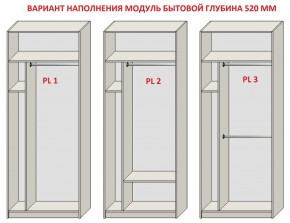 Шкаф распашной серия «ЗЕВС» (PL3/С1/PL2) Серый камень/Небраска натуральный в Нытве - nytva.mebel24.online | фото 5