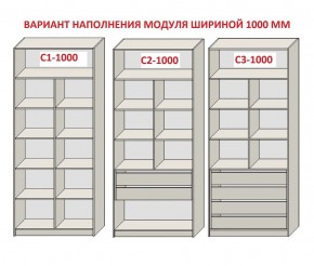 Шкаф распашной серия «ЗЕВС» (PL3/С1/PL2) Серый камень/Небраска натуральный в Нытве - nytva.mebel24.online | фото 7