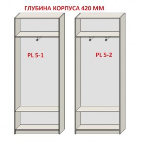 Шкаф распашной серия «ЗЕВС» (PL3/С1/PL2) Серый камень/Небраска натуральный в Нытве - nytva.mebel24.online | фото 8