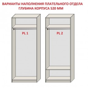 Шкаф распашной серия «ЗЕВС» (PL3/С1/PL2) Серый камень/Небраска натуральный в Нытве - nytva.mebel24.online | фото 9