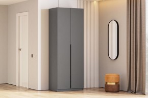Шкаф ШК-5 + 2 полки (800) Графит серый в Нытве - nytva.mebel24.online | фото 2