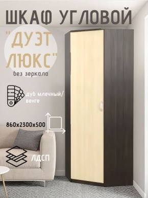 Шкаф угловой Дуэт Люкс без зеркала в Нытве - nytva.mebel24.online | фото 3