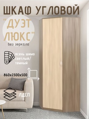 Шкаф угловой Дуэт Люкс без зеркала в Нытве - nytva.mebel24.online | фото 7
