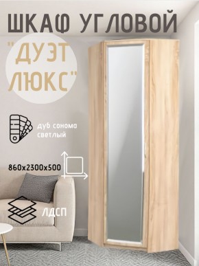 Шкаф угловой Дуэт Люкс с зеркалом в Нытве - nytva.mebel24.online | фото