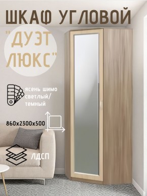 Шкаф угловой Дуэт Люкс с зеркалом в Нытве - nytva.mebel24.online | фото 3