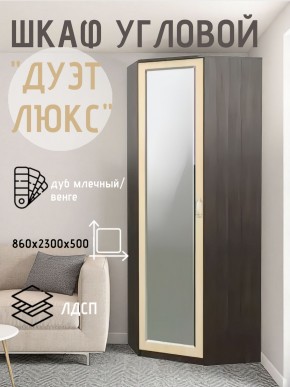 Шкаф угловой Дуэт Люкс с зеркалом в Нытве - nytva.mebel24.online | фото 5
