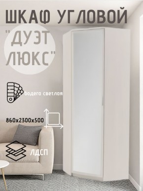 Шкаф угловой Дуэт Люкс с зеркалом в Нытве - nytva.mebel24.online | фото 6