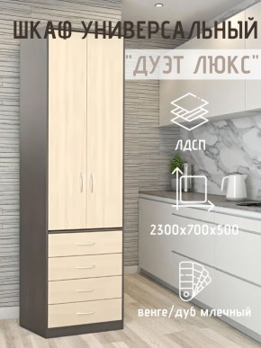 Шкаф универсальный Дуэт Люкс в Нытве - nytva.mebel24.online | фото 3