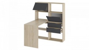Стол компьютерный Тип 7 в Нытве - nytva.mebel24.online | фото 2