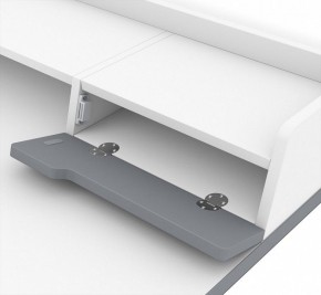 Стол письменный SHT-TU10/TT31 120/65 в Нытве - nytva.mebel24.online | фото 4