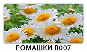 Стол раздвижной Трилогия с фотопечатью Лайм R156 в Нытве - nytva.mebel24.online | фото 15