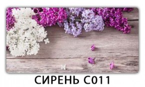 Стол раздвижной Трилогия с фотопечатью Орхидея C013 в Нытве - nytva.mebel24.online | фото 16