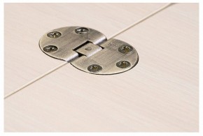 Стол-трансформер Престиж в Нытве - nytva.mebel24.online | фото 10
