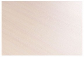 Стол-трансформер Престиж в Нытве - nytva.mebel24.online | фото 8