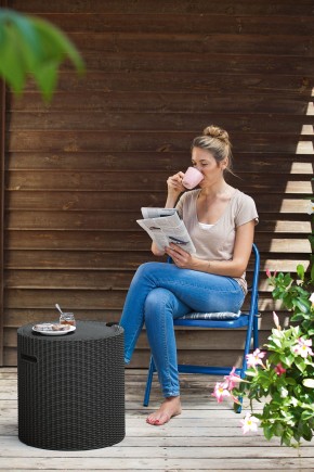 Столик-холодильник Кул-Стул (Cool stool) коричневый в Нытве - nytva.mebel24.online | фото 2