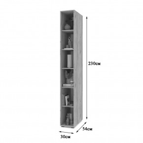 СТОУН С10 Пенал-стеллаж (дуб серый) в Нытве - nytva.mebel24.online | фото 2