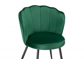 Стул на металлокаркасе Coral green / black в Нытве - nytva.mebel24.online | фото