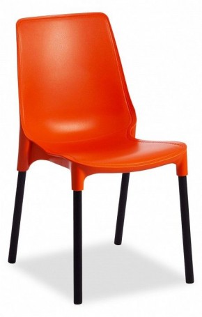 Стул Genius 19670 в Нытве - nytva.mebel24.online | фото
