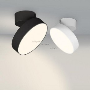 Светильник на штанге Arlight SP-RONDO-FLAP-R210-20W Day4000 (BK, 110 deg) 026453 в Нытве - nytva.mebel24.online | фото 3