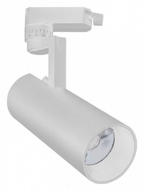 Светильник на штанге Escada 20029 20029TRA/02LED SWH в Нытве - nytva.mebel24.online | фото