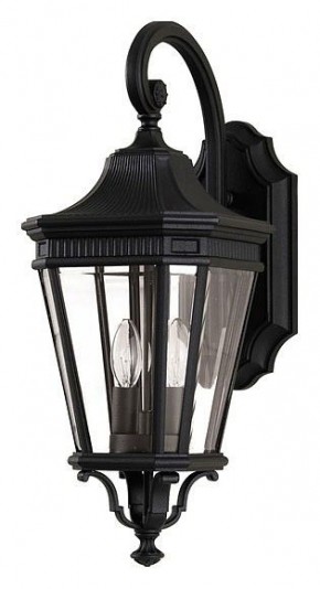 Светильник на штанге Feiss Cotswold Lane FE-COTSLN2-M-BK в Нытве - nytva.mebel24.online | фото
