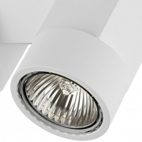 Светильник на штанге Lightstar Illumo X2 051036 в Нытве - nytva.mebel24.online | фото 2