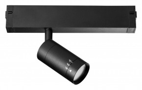 Светильник на штанге Lightstar Teta 205017 в Нытве - nytva.mebel24.online | фото 2