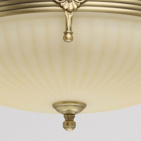 Светильник на штанге MW-Light Афродита 1 317011504 в Нытве - nytva.mebel24.online | фото 4