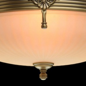 Светильник на штанге MW-Light Афродита 1 317011504 в Нытве - nytva.mebel24.online | фото 5
