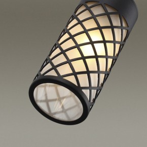 Светильник на штанге Odeon Light Dunes 4834/1W в Нытве - nytva.mebel24.online | фото 5