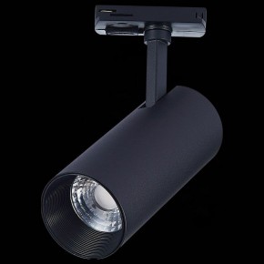 Светильник на штанге ST-Luce Mono ST350.436.20.36 в Нытве - nytva.mebel24.online | фото 8