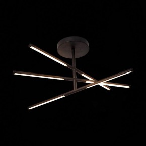 Светильник на штанге ST-Luce Ralio SL1580.403.03 в Нытве - nytva.mebel24.online | фото 3