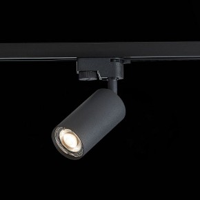 Светильник на штанге ST-Luce Solt ST300.406.01 в Нытве - nytva.mebel24.online | фото 6