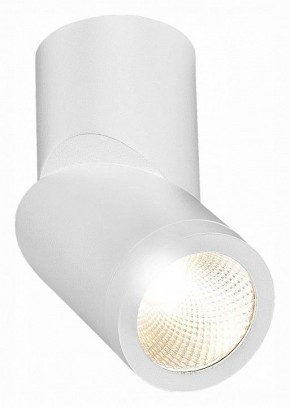 Светильник на штанге ST-Luce ST650 ST650.532.10 в Нытве - nytva.mebel24.online | фото 3