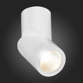 Светильник на штанге ST-Luce ST650 ST650.532.10 в Нытве - nytva.mebel24.online | фото 6