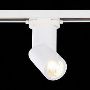 Светильник на штанге ST-Luce ST650 ST650.536.10 в Нытве - nytva.mebel24.online | фото 3