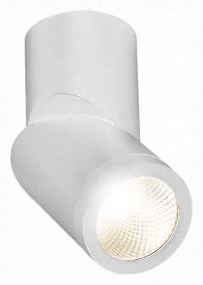 Светильник на штанге ST-Luce ST650 ST650.542.10 в Нытве - nytva.mebel24.online | фото 3
