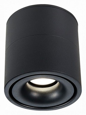 Светильник на штанге ST-Luce ST652 ST652.442.12 в Нытве - nytva.mebel24.online | фото 2