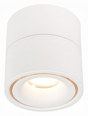 Светильник на штанге ST-Luce ST652 ST652.532.12 в Нытве - nytva.mebel24.online | фото 2