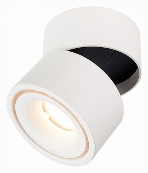 Светильник на штанге ST-Luce ST652 ST652.532.12 в Нытве - nytva.mebel24.online | фото 3