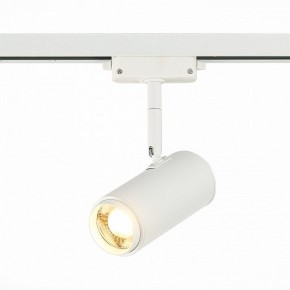 Светильник на штанге ST-Luce Zoom ST600.536.12 в Нытве - nytva.mebel24.online | фото 2