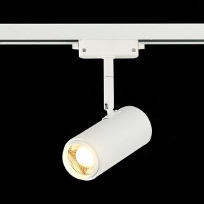 Светильник на штанге ST-Luce Zoom ST600.536.12 в Нытве - nytva.mebel24.online | фото 4